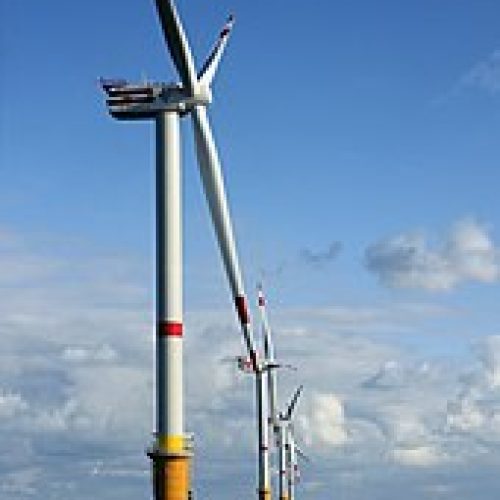 EDF Amiens : savez-vous qu’EDF Amiens se bat pour préserver la planète ?